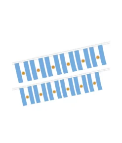 Argentina Flag Bunting 5m