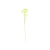 Baby’s Breath Stem 61cm
