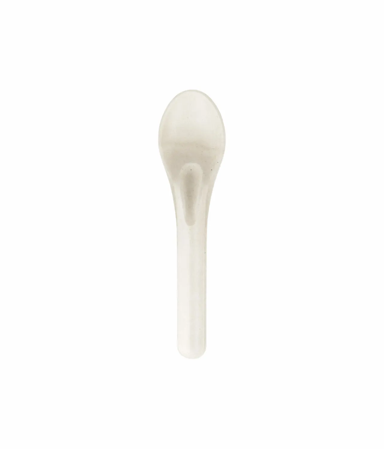 Biodegradable Spoons 12cm 24pk