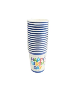 Birthday Boy Paper Cup 9oz 16pcs