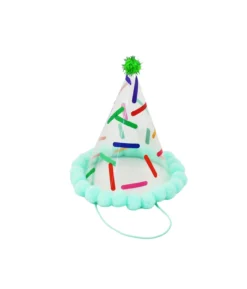Blue Party PVC Clear Hat