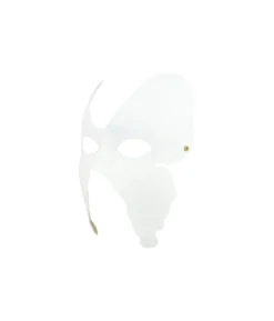 Butterfly Paintable Paper Mask