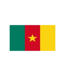 Cameroon Flag 90x150cm
