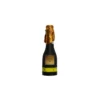 Champagne Confetti Cannon 16cm