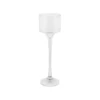 Clear Glasses Martini Vase Height 400mm