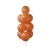 Coco Morandi Latex Balloons 12inch 20pk