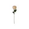 Cream Chrysanthemum Pongee 70cm