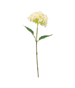 Cream Hydrangea Flower 63cm