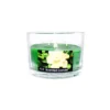 Gerdenia Scented Candle In Glass Jar