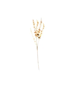 Gold Eucalyptus Stem 90cm