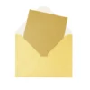 Gold Pearlised Cards & Envelopes Set 12pc