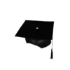 Graduation Felt Hat