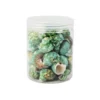Green Natural Sea Shells 300g