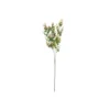 Green & Red Eucalyptus Stem 67cm