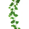 Green Wisteria Vine 185cm Assorted