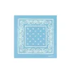 Light Blue Bandana