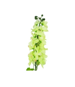 Light Green Delphinium Flower 80cm