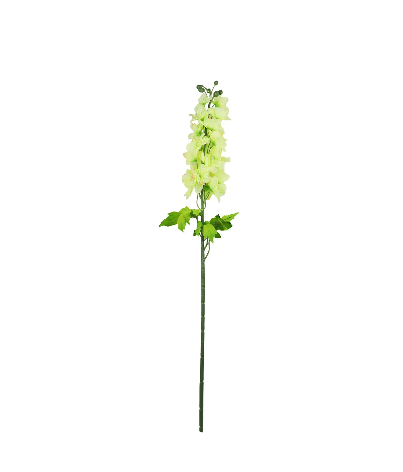Light Green Delphinium Flower 80cm