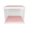 Light Pink Transparent Cake Box 10in