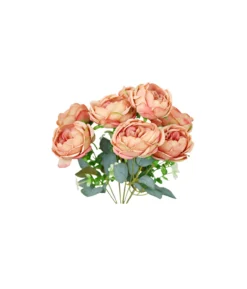Light Salmon Peony Rose Bush 9 Head 40cm