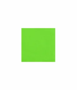 Lime Green Small Napkins 50pk
