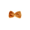 Lion Accessory Set