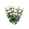 Money Leaf Stem 46cm