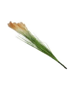 Natural Silk Reed 88cm