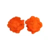 Orange Flower Bra