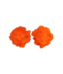 Orange Flower Bra