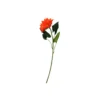 Orange Single Gerbera
