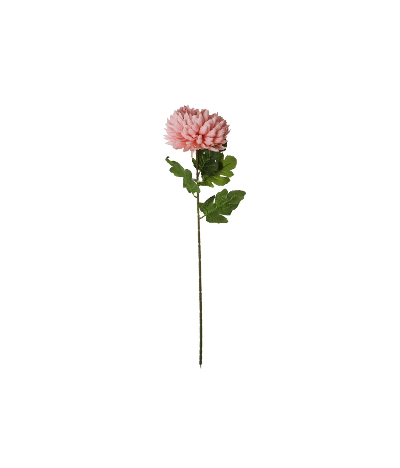 Peach Chrysanthemum Pongee 70cm