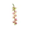 Peach Gladiolus Bush Flower Stem 77cm