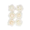 Peach Rose Artificial Craft Flower 6pc 10cm
