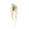 Pink Bean Flower Cane 129cm