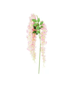 Pink Bean Flower Cane 129cm
