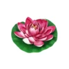 Pink Floating Water Lily 18cm