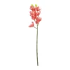 Pink Orchid With Pink Stamen 71cm