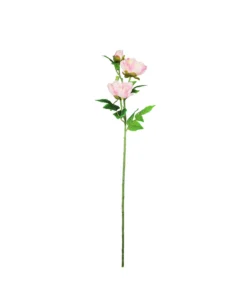Pink Peony Bush Stem 82cm