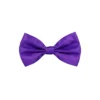 Purple Bow Tie