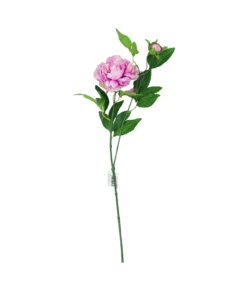 Purple Green Tea Peony 74cm