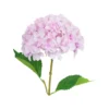 Purple Hydrangea Flower 63cm