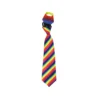 Rainbow Tie Adult 40x7cm