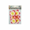 Red Frangipani 8cm 6pc