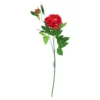 Red Green Tea Peony 74cm