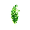 Scindapsus Aureus Rattan Branch 116cm