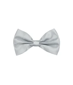 Silver Bow Tie