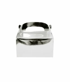 Silver Paper Treat Box 6pc (Side Seal)