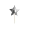 Silver Star Party Picks 24pk