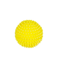 Squeaky & Spiky Dog Toy Assorted 8cm